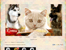 Tablet Screenshot of catwar888.liverolka.ru